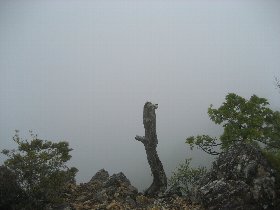 c0146040_19175274.jpg