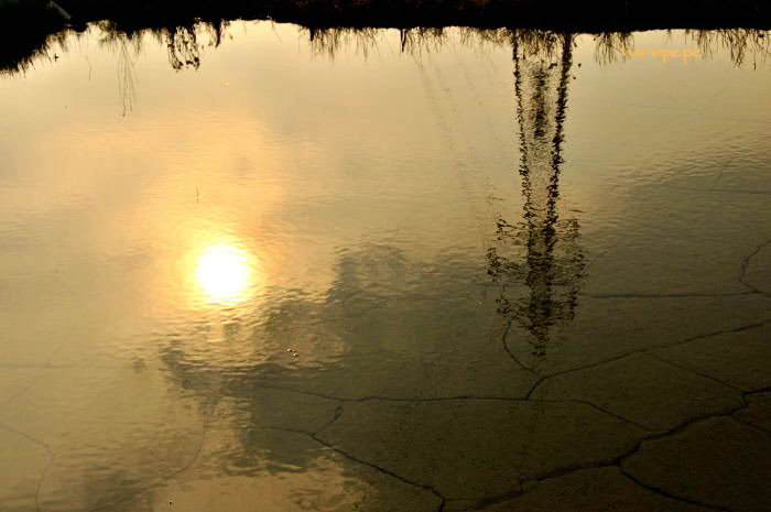 a0145741_2031918.jpg