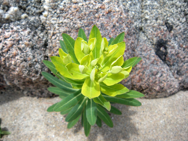 c0047341_902090.jpg