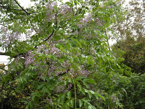 c0047341_903880.jpg
