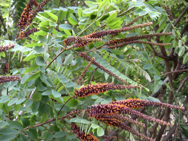 c0047341_911837.jpg