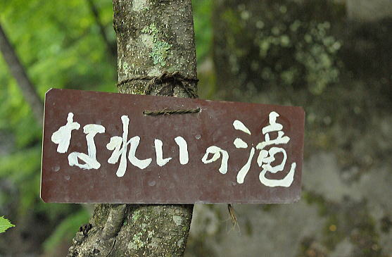 f0094843_2322485.jpg