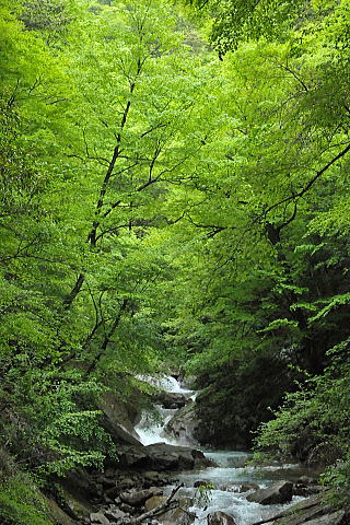 f0094843_23413630.jpg