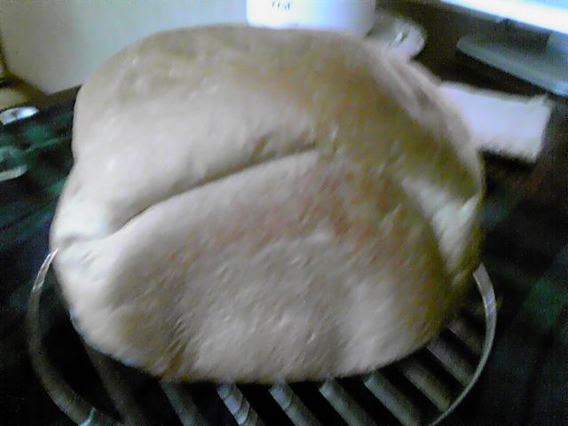 パンで占う・・_d0165645_1331256.jpg
