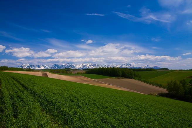 f0104847_22271372.jpg