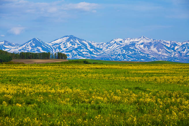 f0104847_2227161.jpg