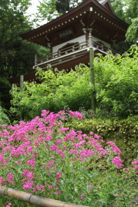 鎌倉へ - 浄智寺_f0214858_22153083.jpg