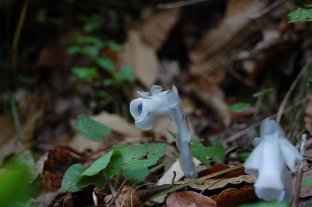 b0167762_2247180.jpg