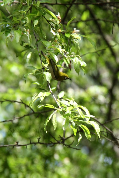 a0160063_23315429.jpg