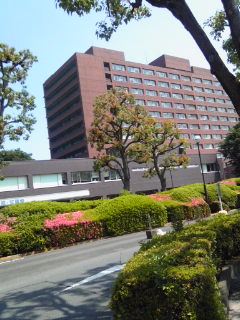 b0108363_1457441.jpg