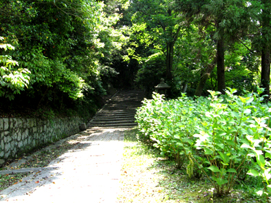 b0153663_14334790.jpg
