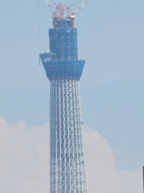 a0157968_20134311.jpg
