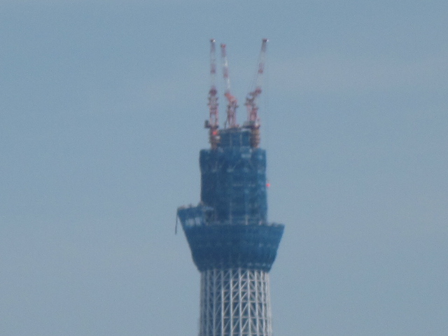 a0157968_20714100.jpg