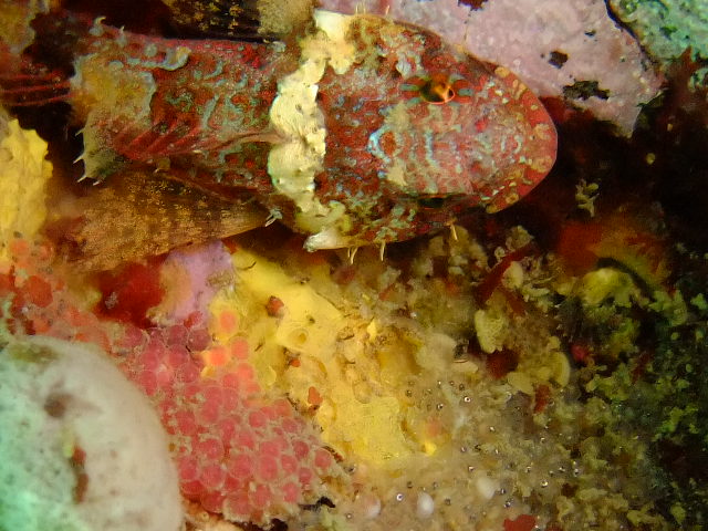 d0162868_22592140.jpg