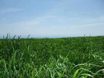 d0162868_2375447.jpg