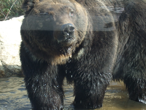 c0151076_160433.jpg