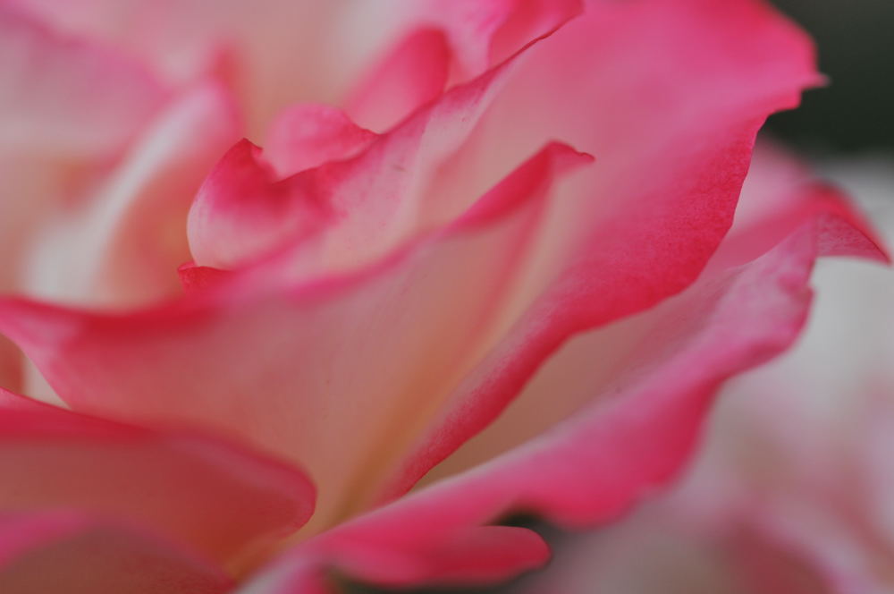 f0202686_214146.jpg