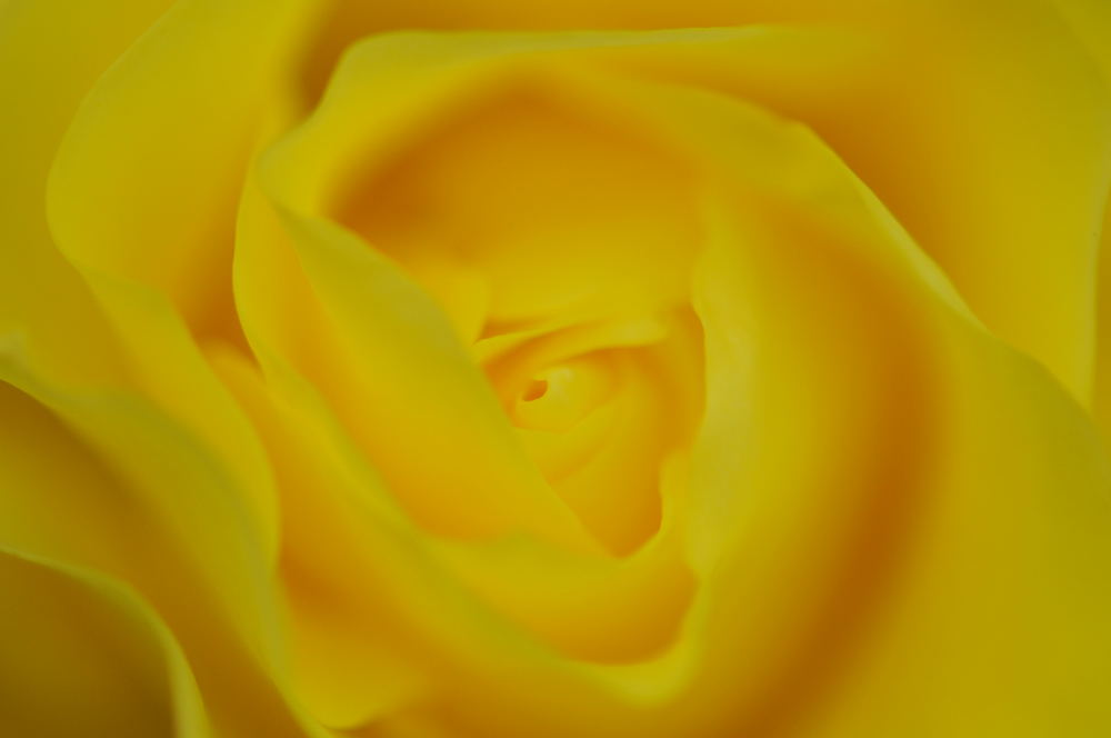f0202686_2142886.jpg