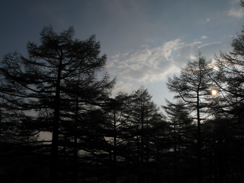 湯の丸山開きの朝_e0120896_635484.jpg