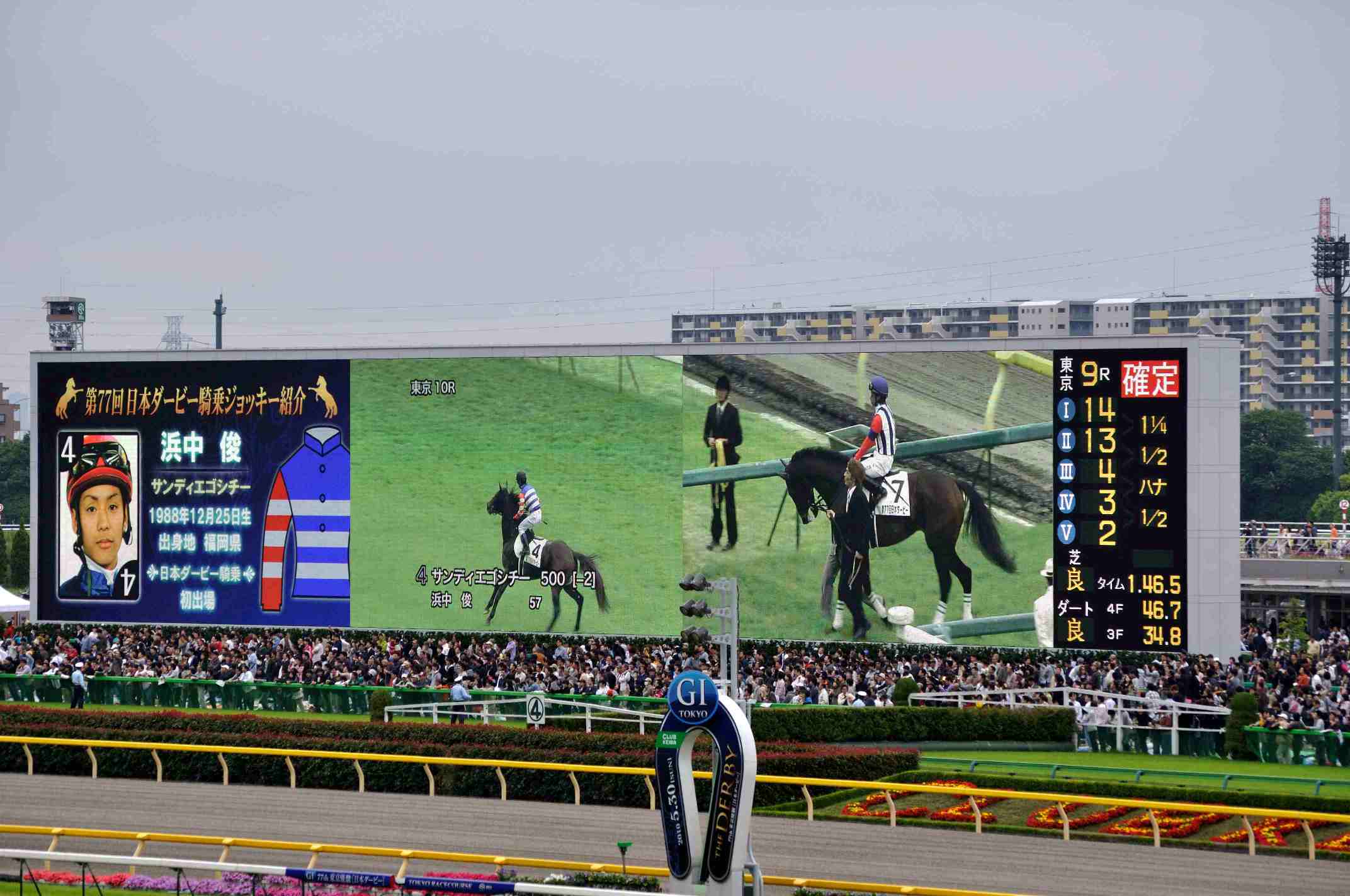 10年5月30日 東京優駿 日本ダービー 馬主の凝り方と写真 トージョル 10年5月30日 東京優駿 日本ダービー 馬主の凝り方と写真 トージョル