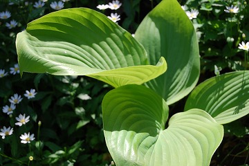 c0124100_14511976.jpg