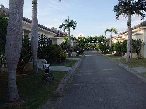 b0139303_2342586.jpg