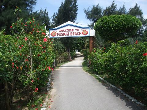 b0139303_2345227.jpg