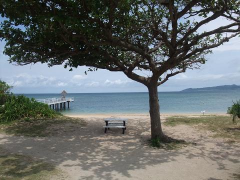 b0139303_2351040.jpg