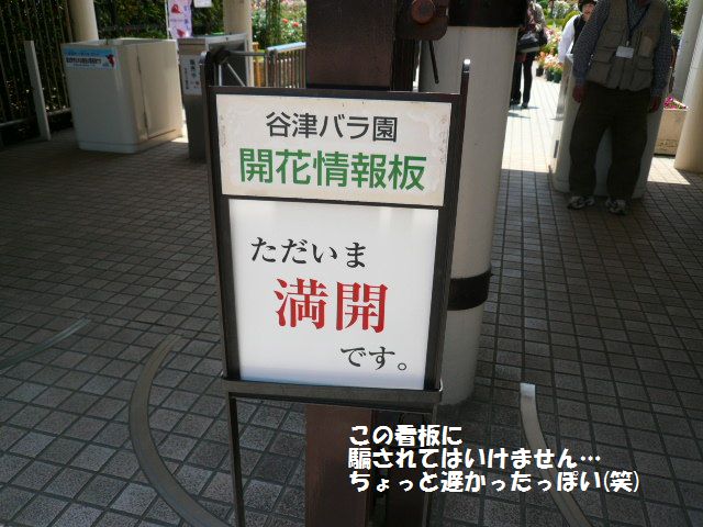 e0094407_21562667.jpg