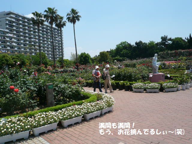 e0094407_2203972.jpg
