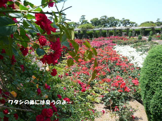 e0094407_22441217.jpg