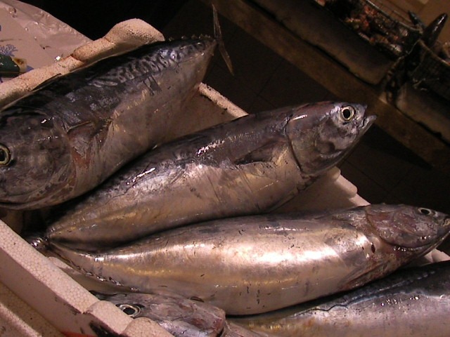 f0038407_23323983.jpg