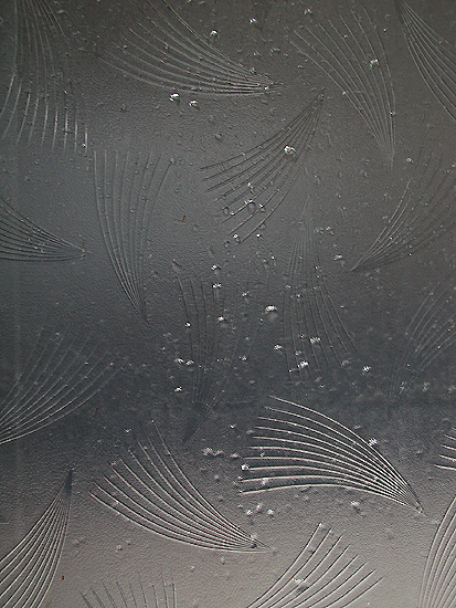 c0170208_835410.jpg