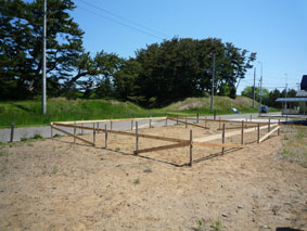 e0148212_9331040.jpg