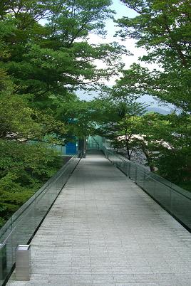 a0147813_16312584.jpg