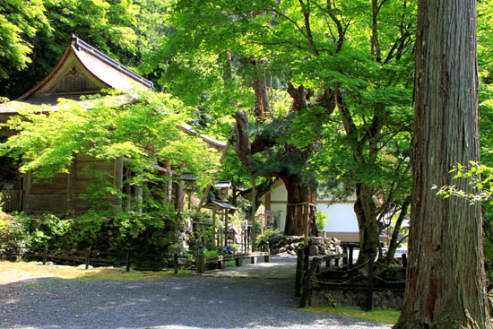峰定寺 山寺4_e0048413_21122158.jpg