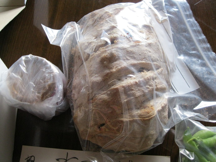 まさに「ハイブリッド ライフ」~~??_a0125419_1917421.jpg