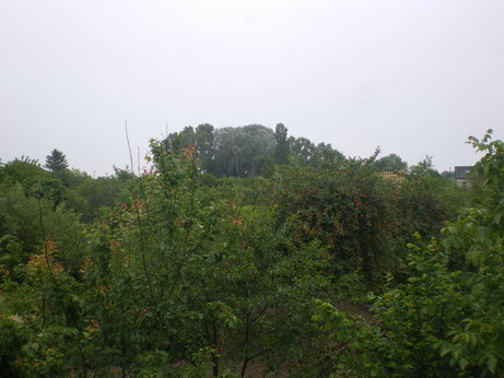 c0124619_4555474.jpg