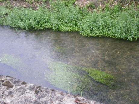 c0124619_4561477.jpg