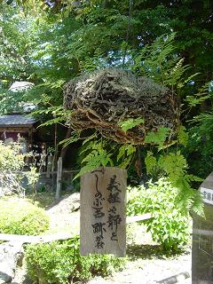 吉水神社　２０１０・６・２_f0000521_418999.jpg