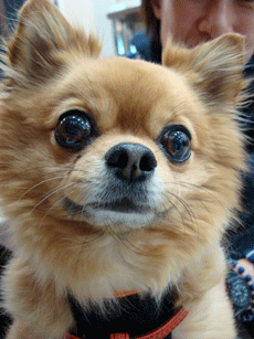 f0232522_10292467.gif
