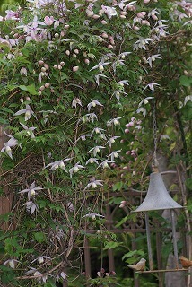 f0170524_18342582.jpg