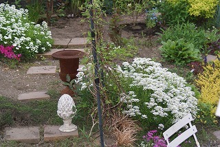 f0170524_18354764.jpg