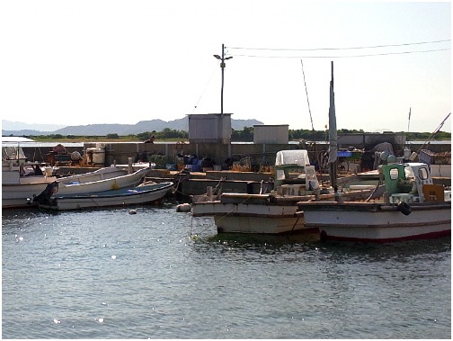 d0017632_16362145.jpg