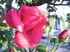 b0187737_8581178.jpg