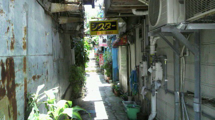 d0051146_2250152.jpg