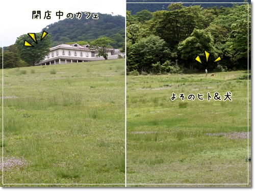 d0013149_0253952.jpg