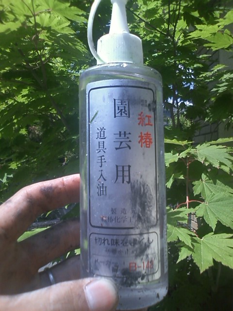 f0235554_20342887.jpg