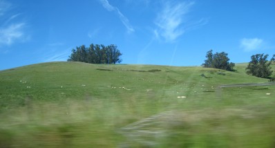 Point Reyes　－　3日目　Bodega bayからPoint Reyes National Seashore 南へ向かう_a0124555_13505943.jpg