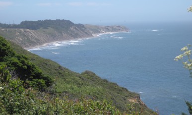 Point Reyes　－　3日目　その2　最終目的地のAlamere Fallsへ_a0124555_1420201.jpg